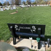 jiacobbe+bench-1920w